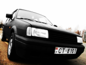 VW Polo G40, 1993