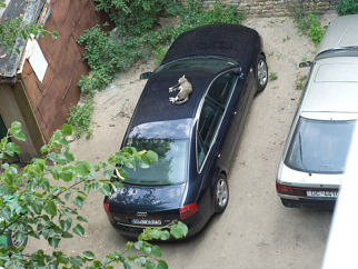 Audi 2.5 TDI , 2000 Audi 2.5 TDI , 2000
