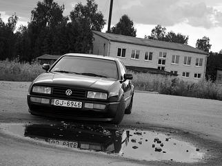 VW  , 1994