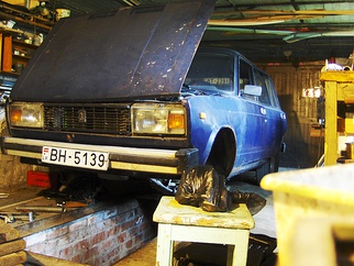 VAZ BlueBerry , 1976 VAZ BlueBerry , 1976