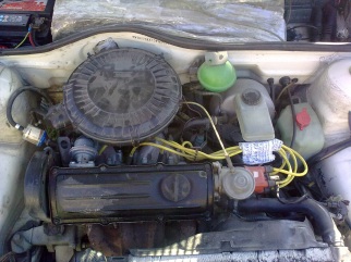 VW , 1982 VW , 1982