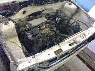 VW , 1982 VW , 1982