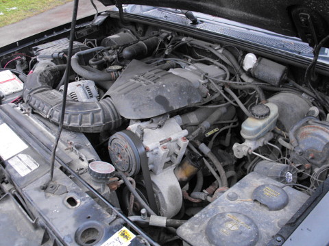 Ford XLT 4x4 V6, jaunas asinis