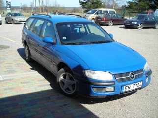 Opel zilonis , 1995