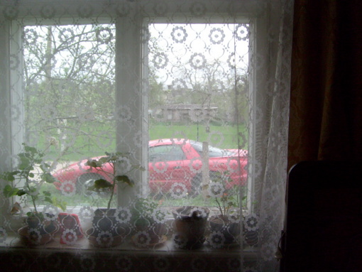 Pontiac Firebird ugunsputns, 1993