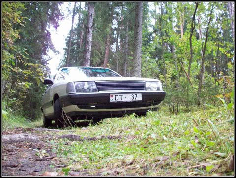 Audi S line, Audi lampu partaisišana