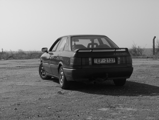 Audi Audžis , 1986