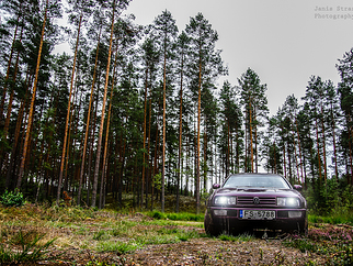 VW Warduleens , 1995