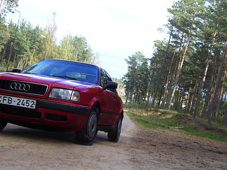 Audi kā kopsi tā ripos. , 1992