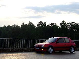 Peugeot 205 GTi , 1985