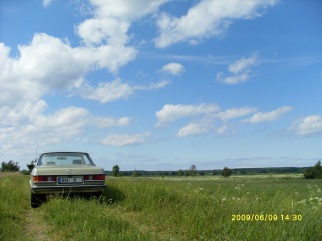 Mercedes-Benz CE W123 , 1981