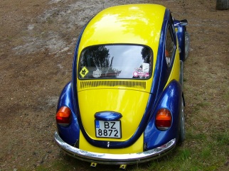 VW VW Mountain Bug , 1974