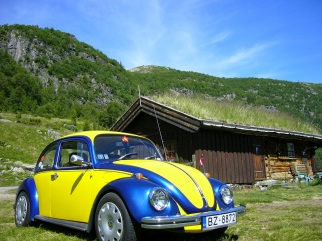 VW VW Mountain Bug , 1974