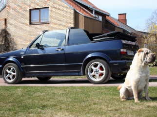 VW MK1 Cabrio , 1992