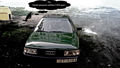 Audi , Веселимся