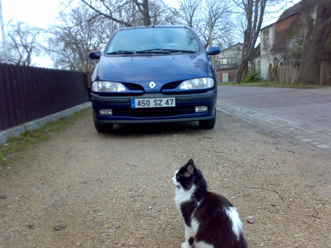 Renault Megane Scenic Conquest, 1998